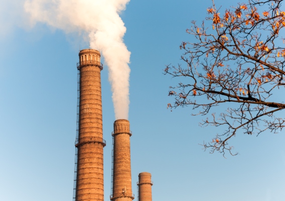 Nori is pitching carbon trading … on the blockchain! – TechCrunch